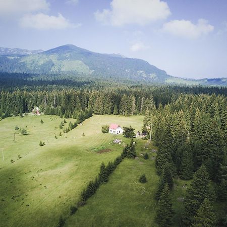 Homestay Djerkovic Žabljak Extérieur photo