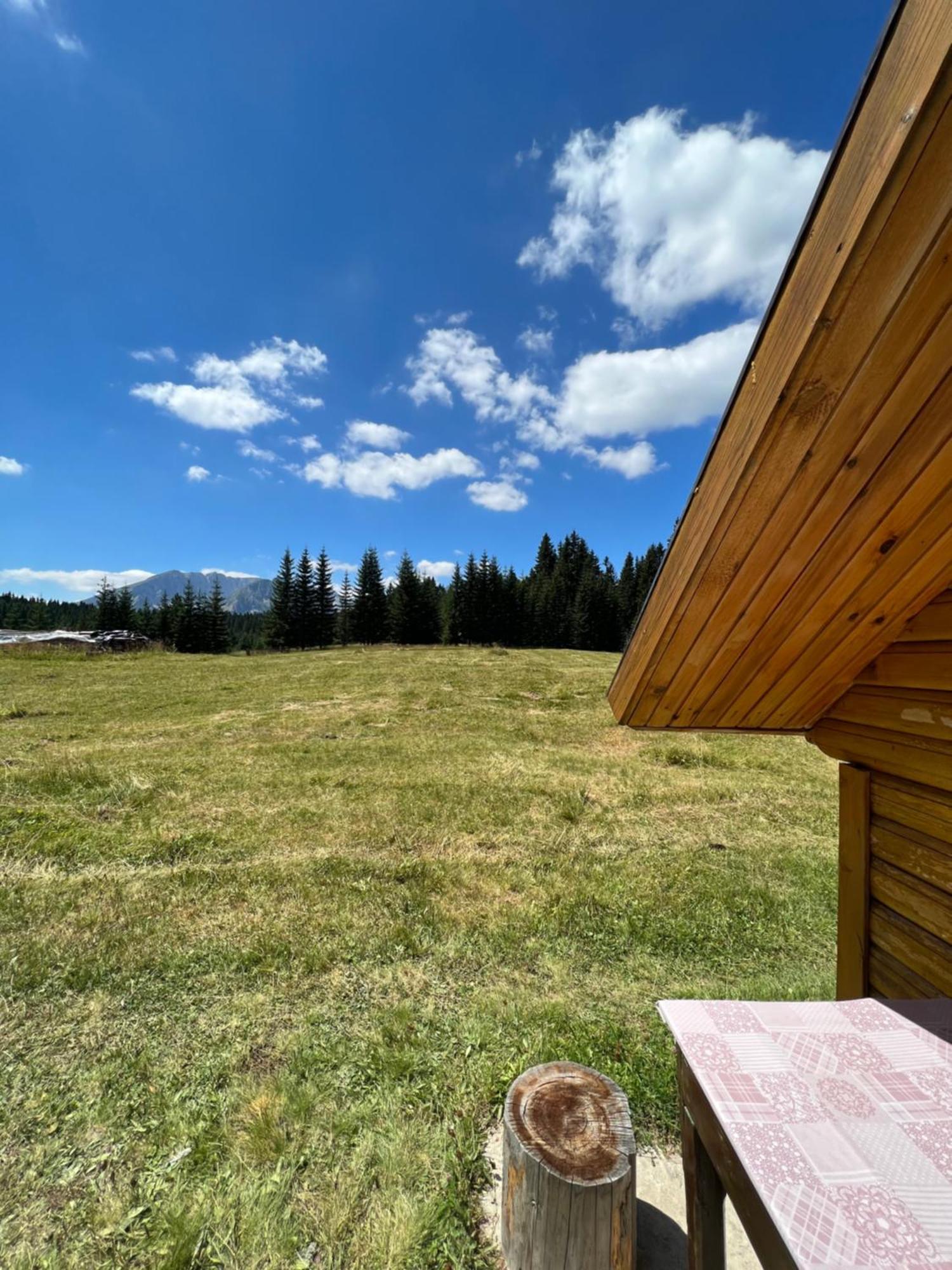 Homestay Djerkovic Žabljak Extérieur photo