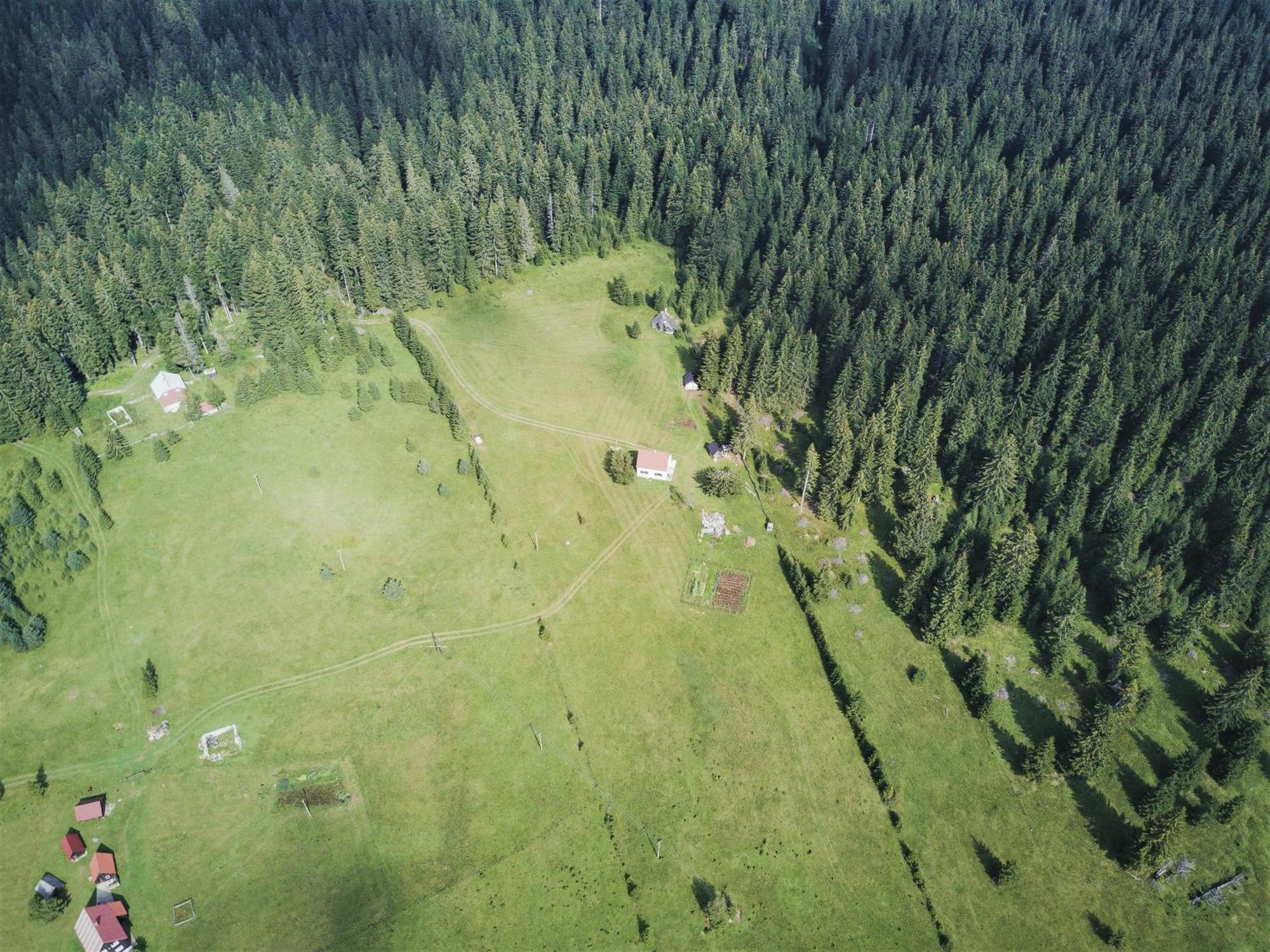 Homestay Djerkovic Žabljak Extérieur photo