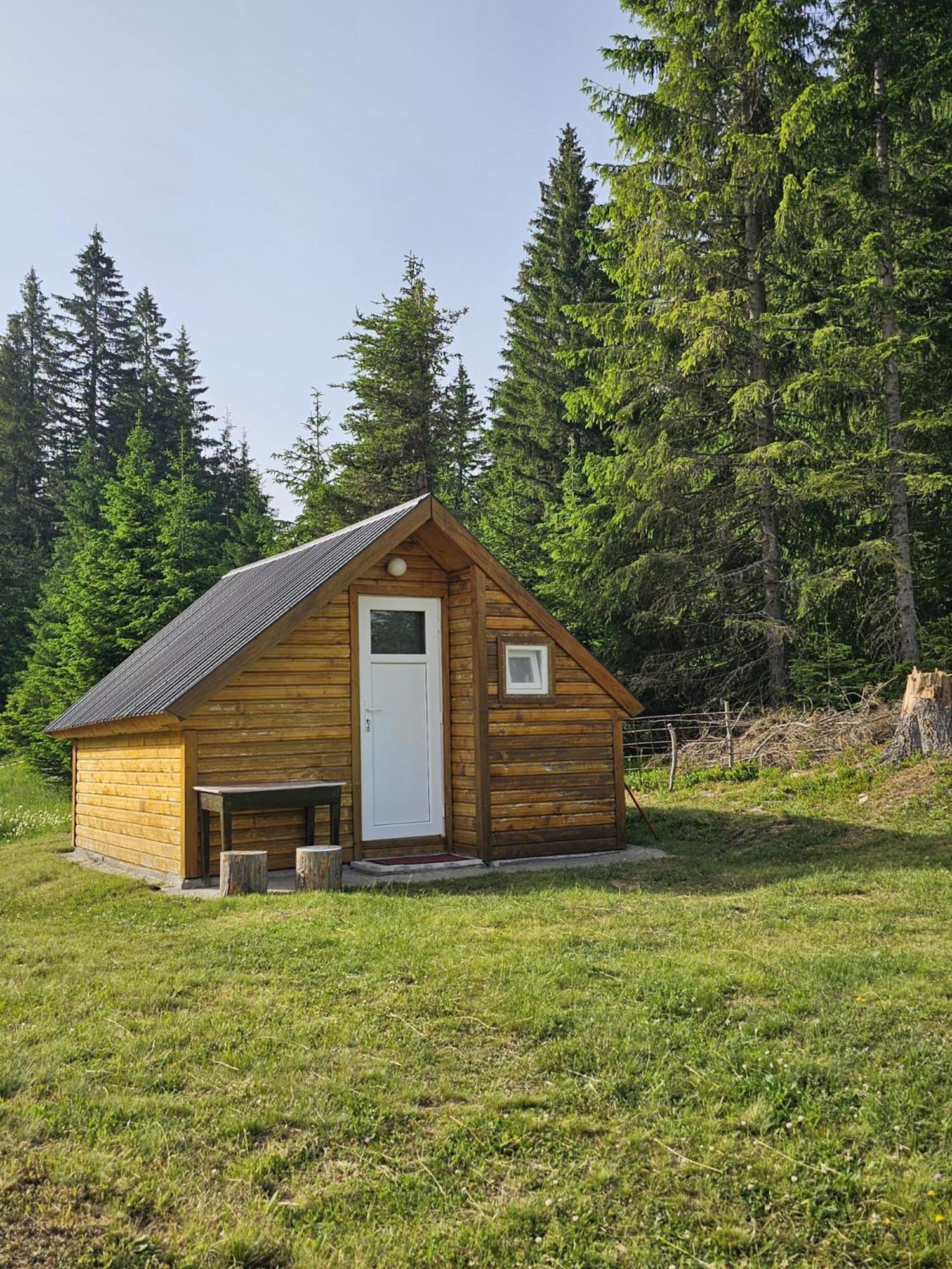 Homestay Djerkovic Žabljak Extérieur photo