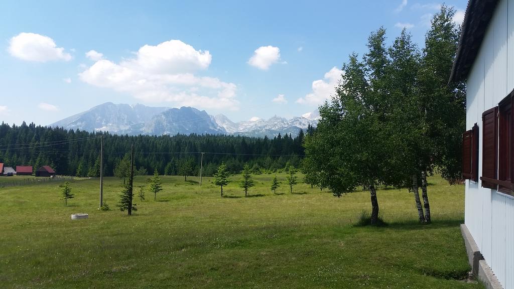 Homestay Djerkovic Žabljak Extérieur photo