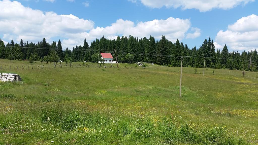 Homestay Djerkovic Žabljak Extérieur photo