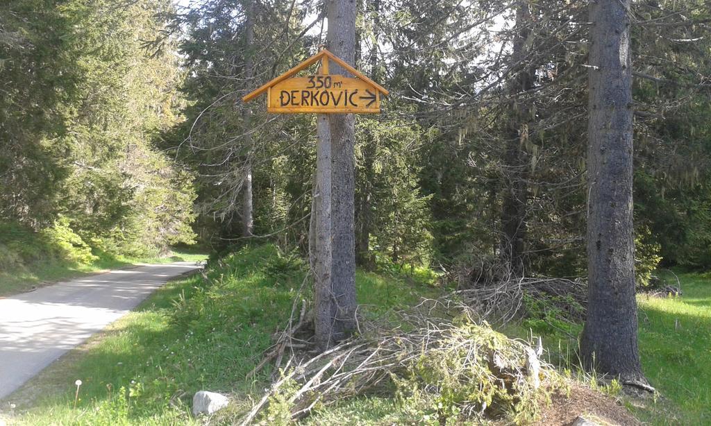 Homestay Djerkovic Žabljak Extérieur photo