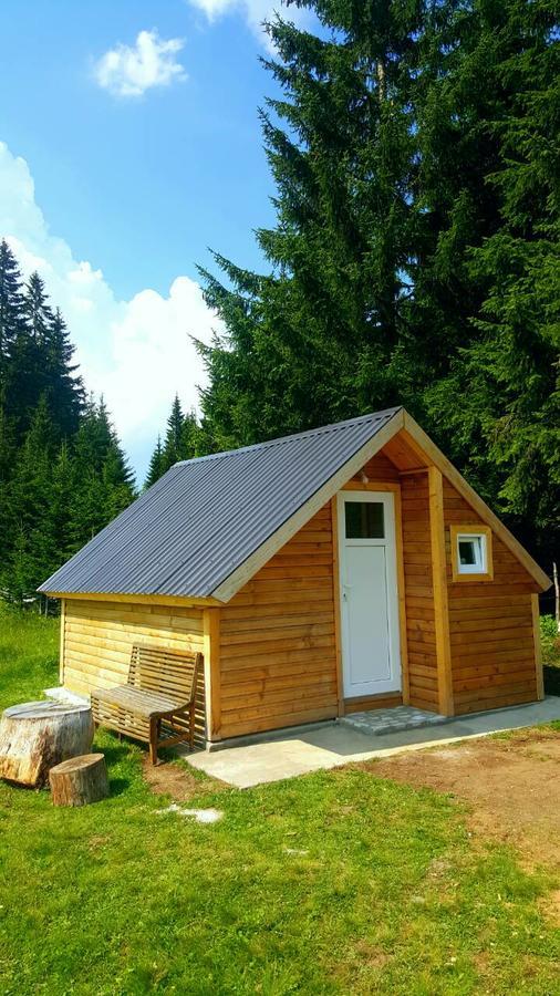 Homestay Djerkovic Žabljak Extérieur photo